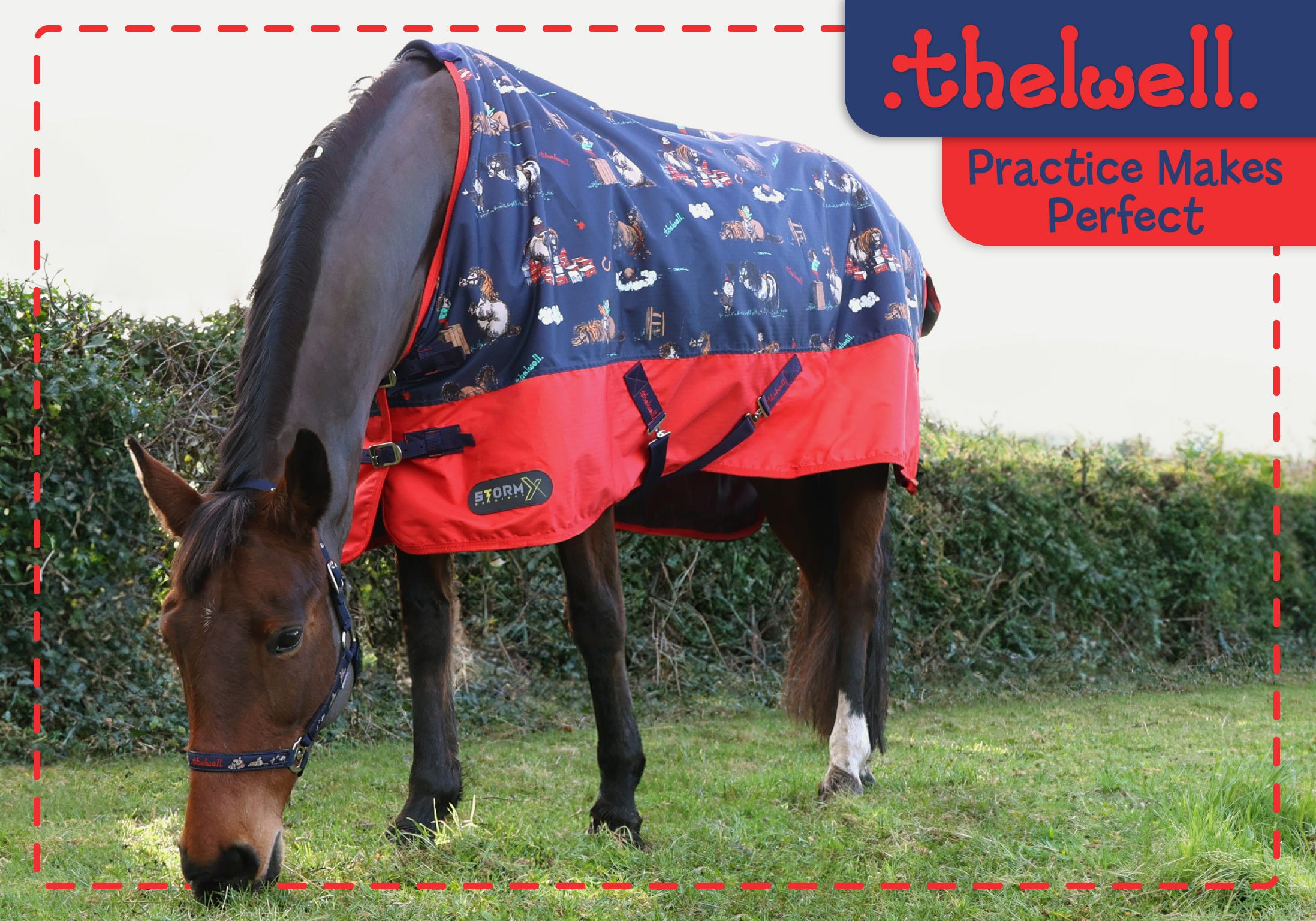 Thelwell - Practice Makes Perfect?width=750